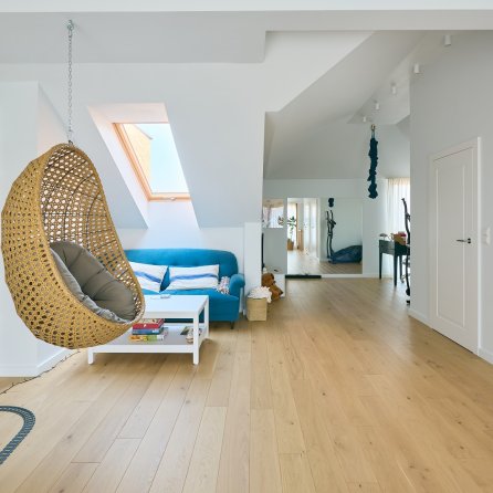 Polskie Dęby - Dąb Loftowy Standard