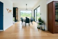 Polskie Dęby - Dąb Miodowy