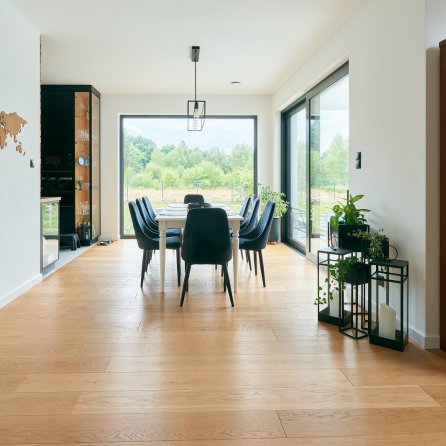 Polskie Dęby Dąb Miodowy Postarzany