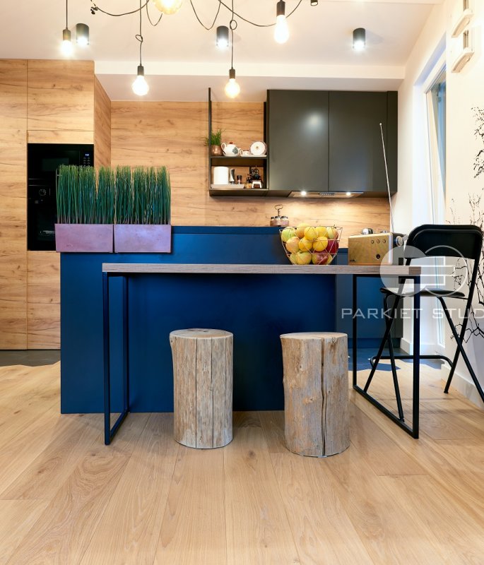 Polish Oaks - Common Oak