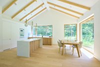 Polskie Dęby - Dąb Polny