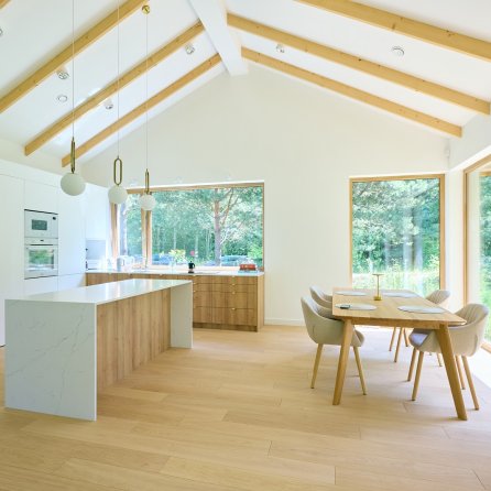 Polskie Dęby Dąb Polny Prime