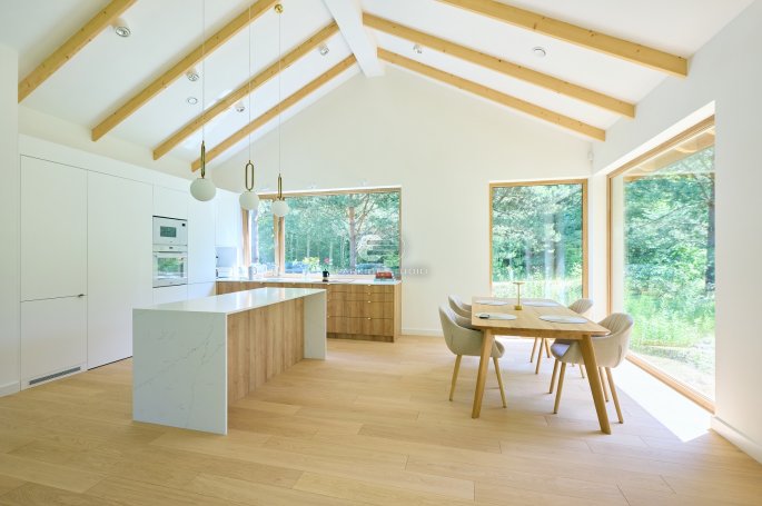 Polskie Dęby Dąb Polny Prime