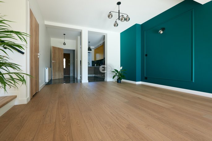 Polish Oaks - Old Aged Sessile Oak