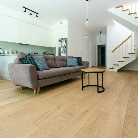 Polskie Dęby - Dąb Polny Postarzany