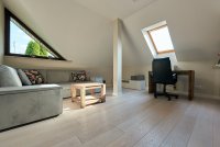 Polskie Dęby - Dąb Śnieżny