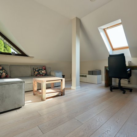 Polskie Dęby - Dąb Śnieżny Postarzany