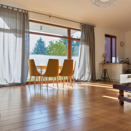 Polskie Dęby Dąb Bursztynowy