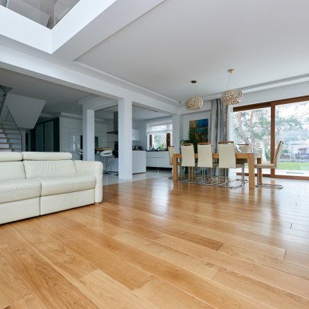 Polskie Dęby - Dąb Nefryt Standard