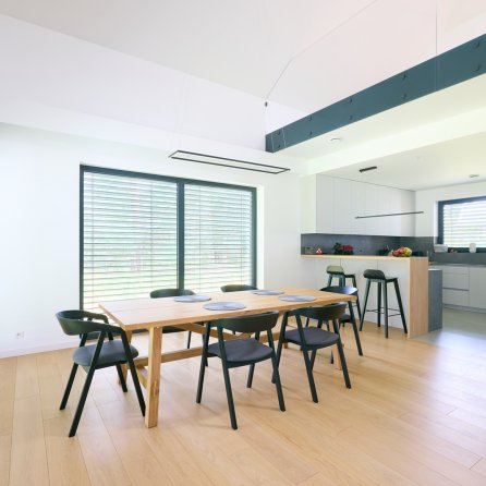 Polskie Dęby Dąb Piaskowy Prime