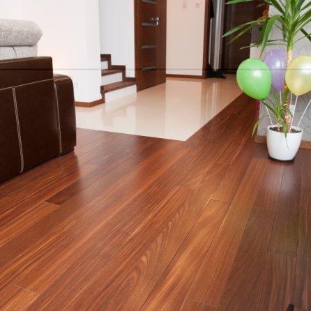 Tamex Sucupira Bengalska