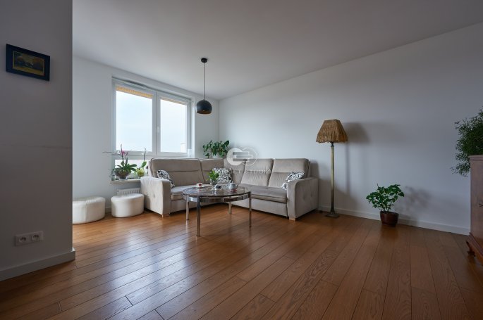 Walczak Oak Cognac Nature