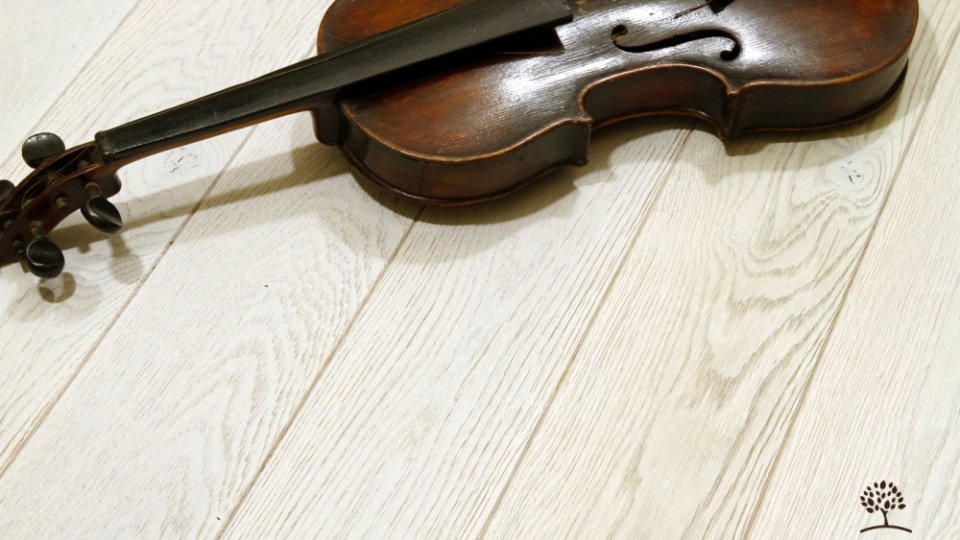 Walczak Dąb Kolor Extra Biały (Szczotkowana)