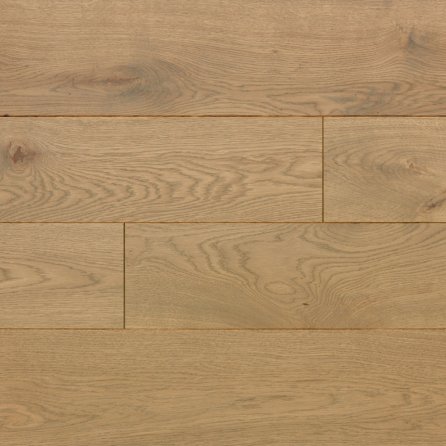 Polskie Dęby - Dąb Jaspis