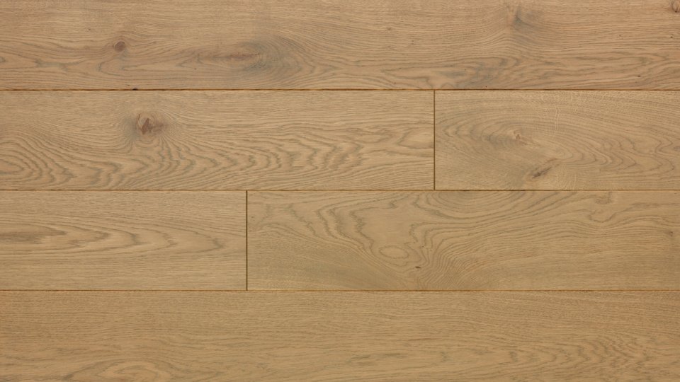 Polskie Dęby - Dąb Jaspis