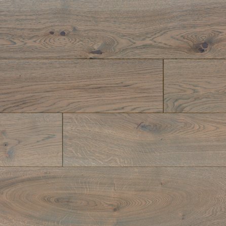 Polskie Dęby - Dąb Szafir