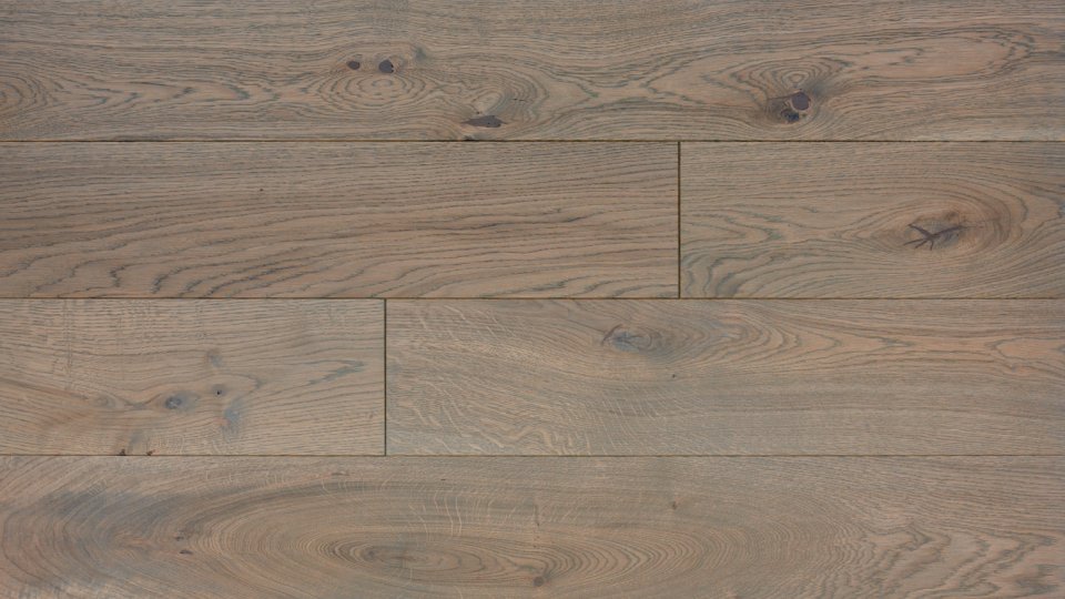 Polskie Dęby - Dąb Szafir