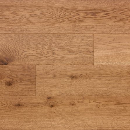 Polskie Dęby - Dąb Rubin