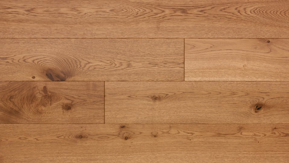 Polskie Dęby - Dąb Rubin