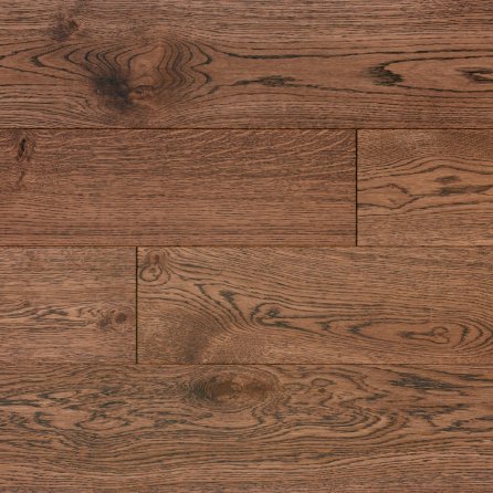 Polskie Dęby - Dąb Ametyst