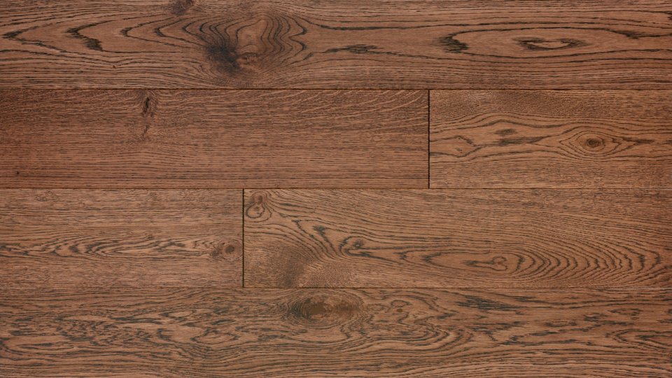 Polskie Dęby - Dąb Ametyst