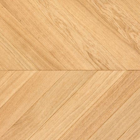 Polskie Dęby - Dąb Topaz