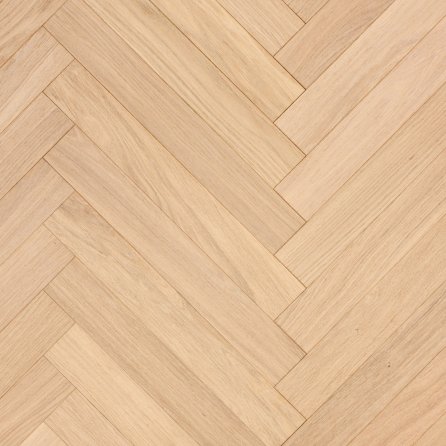 Polskie Dęby - Dąb Opal