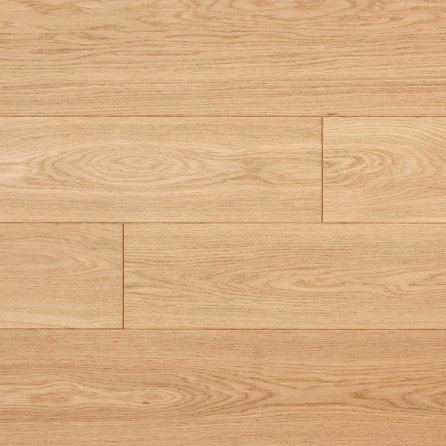 Polskie Dęby - Dąb Piaskowy