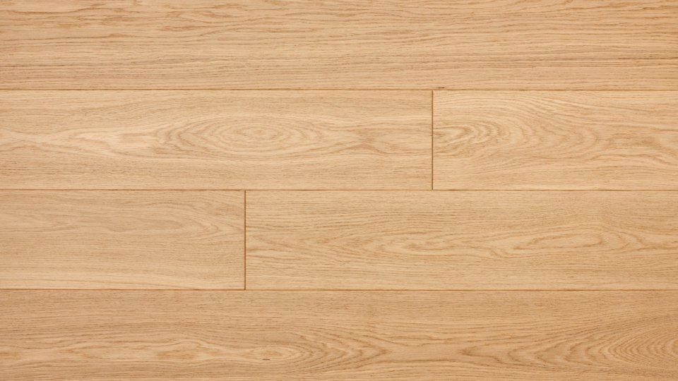 Polskie Dęby - Dąb Piaskowy