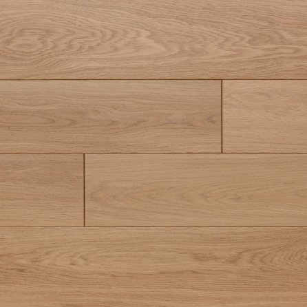 Polskie Dęby - Dąb Malachit