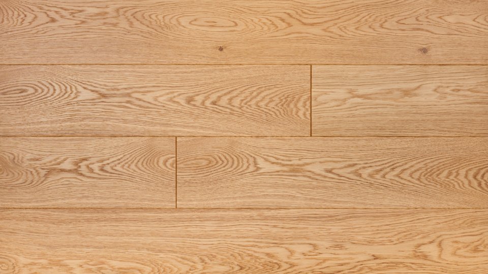 Polskie Dęby - Dąb Nefryt