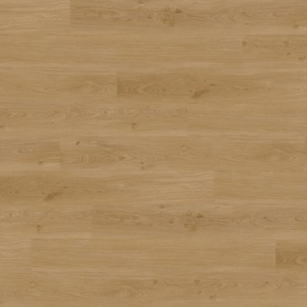 Vinyl Techlab Dawn 2 Dusk Dąb Amber GD - do przyklejenia