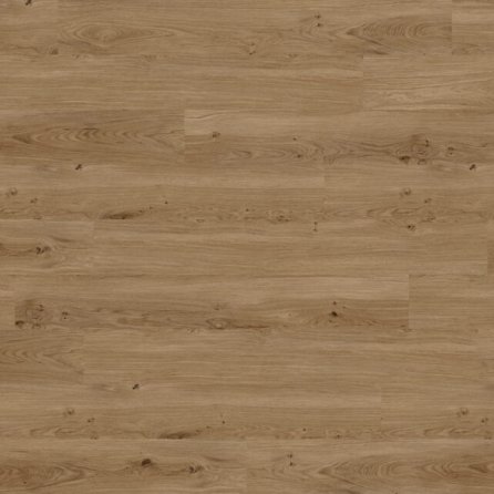 Vinyl Techlab Dawn 2 Dusk Dąb Hazelnut Click