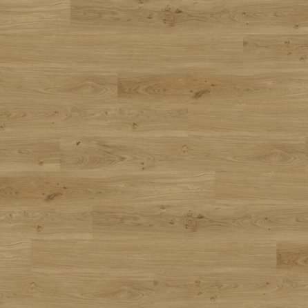 Vinyl Techlab Dawn 2 Dusk Dąb Wheat Click