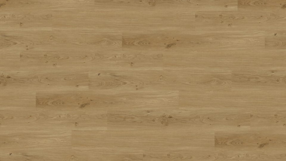 Vinyl Techlab Dawn 2 Dusk Dąb Wheat Click