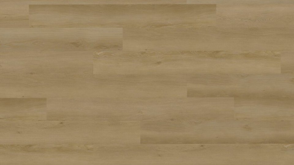 Vinyl Techlab Woodlands Dąb Almond Click