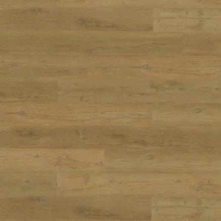 Vinyl Techlab Woodlands Dąb Sienna GD - do przyklejenia