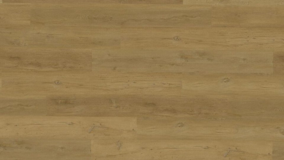 Vinyl Techlab Woodlands Dąb Sienna GD - do przyklejenia