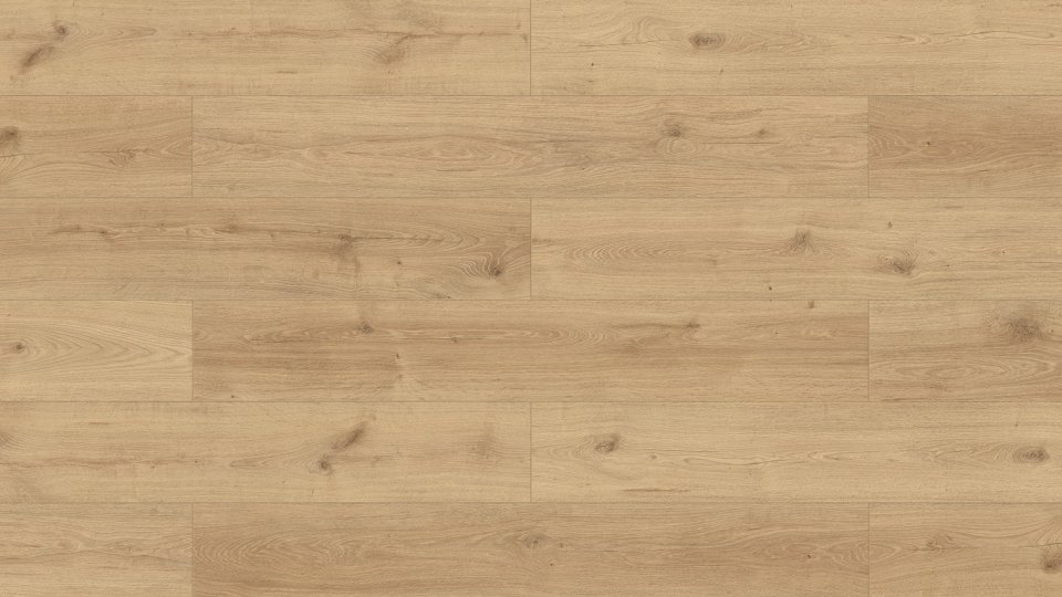 Sensa - Dąb Sonolta