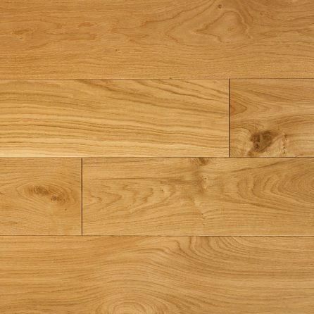 Polskie Dęby - Dąb Rycerski