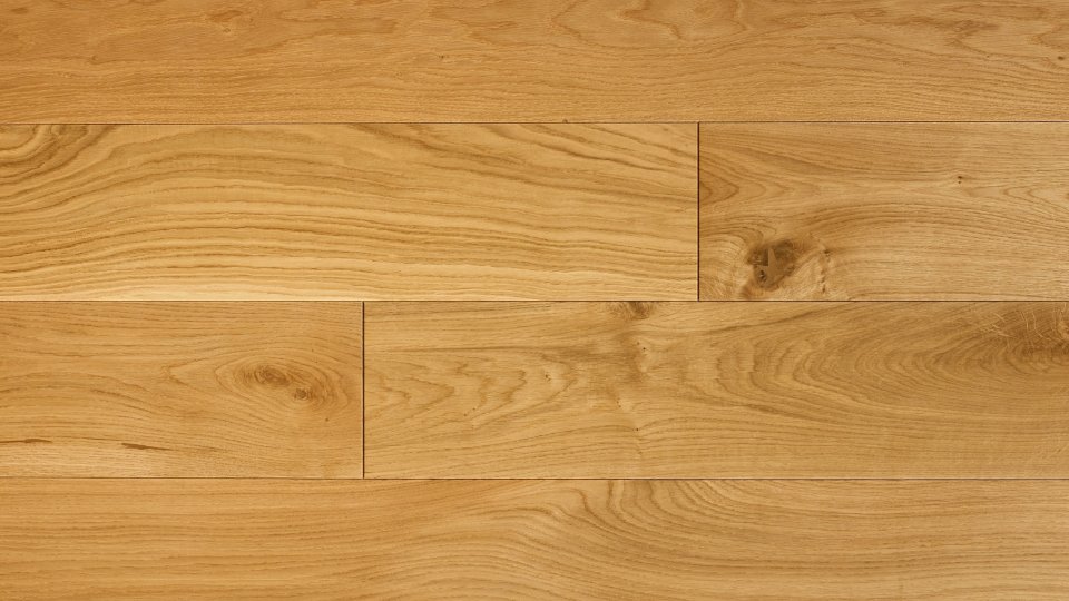 Polskie Dęby - Dąb Rycerski