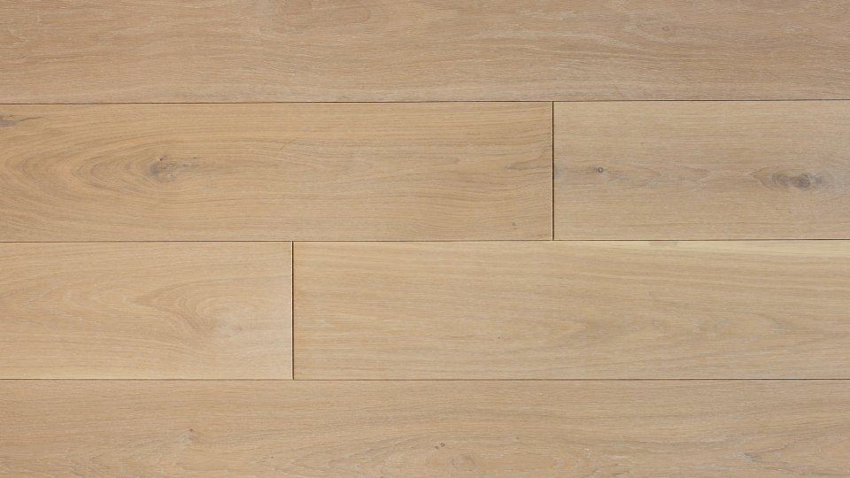 Polskie Dęby - Dąb Wawelski