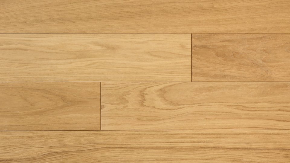 Polskie Dęby - Dąb Hetmański