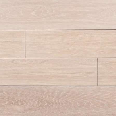 Polskie Dęby - Dąb Jasny