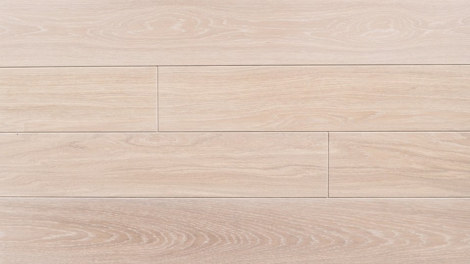 Polskie Dęby - Dąb Jasny