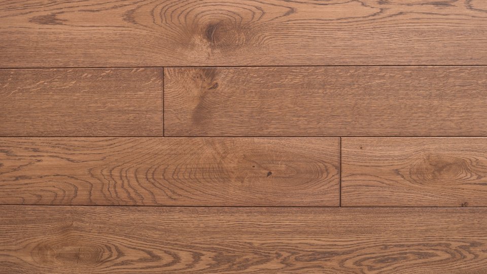 Polskie Dęby - Dąb Pałacowy