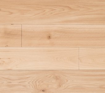 Polish Oaks - Silver Oak