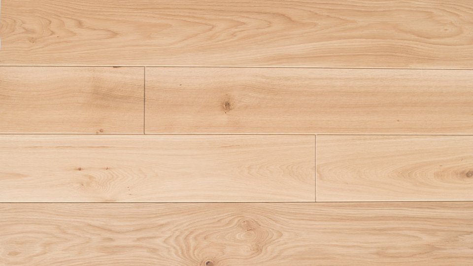 Polskie Dęby - Dąb Srebrzysty