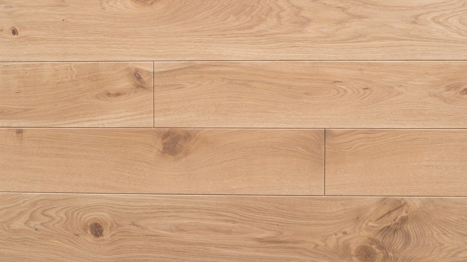 Polskie Dęby - Dąb Staropolski