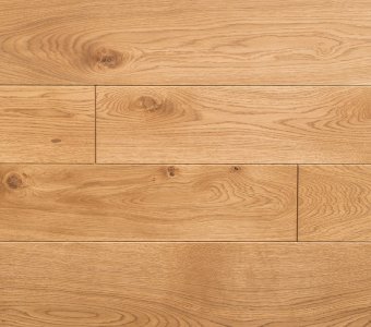 Polish Oaks - Noble Oak